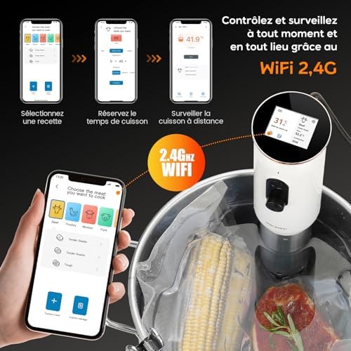 INKBIRD WiFi Thermoplongeur Sous Vide ISV 101W, Cuisson Basse Température 1000W: Écran TFT, Cuisson De Réservation App, Protection Du Niveau D'eau, Avertissement De Température, 0℃~95℃, Réglable 0,1℃ : Cuisine et Maison