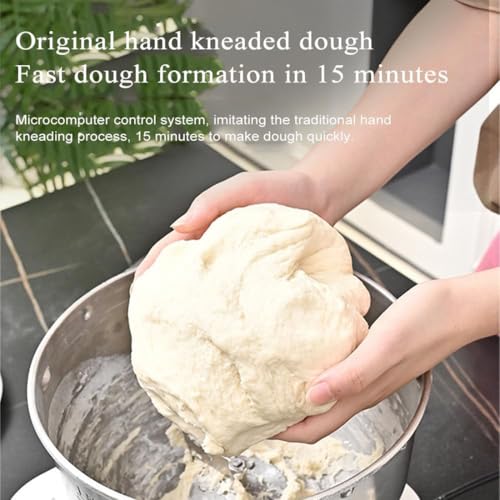 Machine à pâte 3 en 1, étuve de pâte avec Fermentation thermostatique, pétrissage Rapide de 15 Minutes, minuterie Intelligente, Seau à Nouilles en Acier Inoxydable 304, Machine à pétrir Automatique : Cuisine et Maison