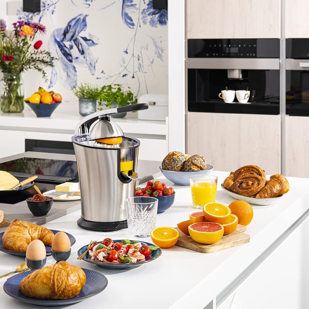 Princess Presse-agrumes Master Pro – C?ne en acier inoxydable – 300 W – Filtre à pulpe en inox – Bras à levier professionnel – Réservoir avec système anti-goutte – 201860 : Cuisine et Maison