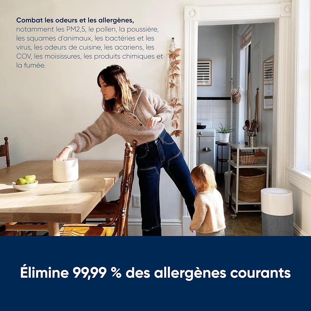 BLUEAIR Purificateur d'air Blueair Blue Pure 3210, purificateur filtre à air auto HEPA Silent™, système de filtration pour purifier jusqu'à 41 m2, gris : Cuisine et Maison