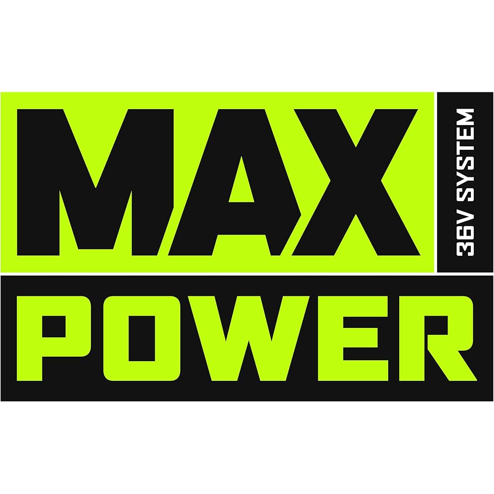 Ryobi RBV36B Soplador-Aspirateur sans balais : Jardin