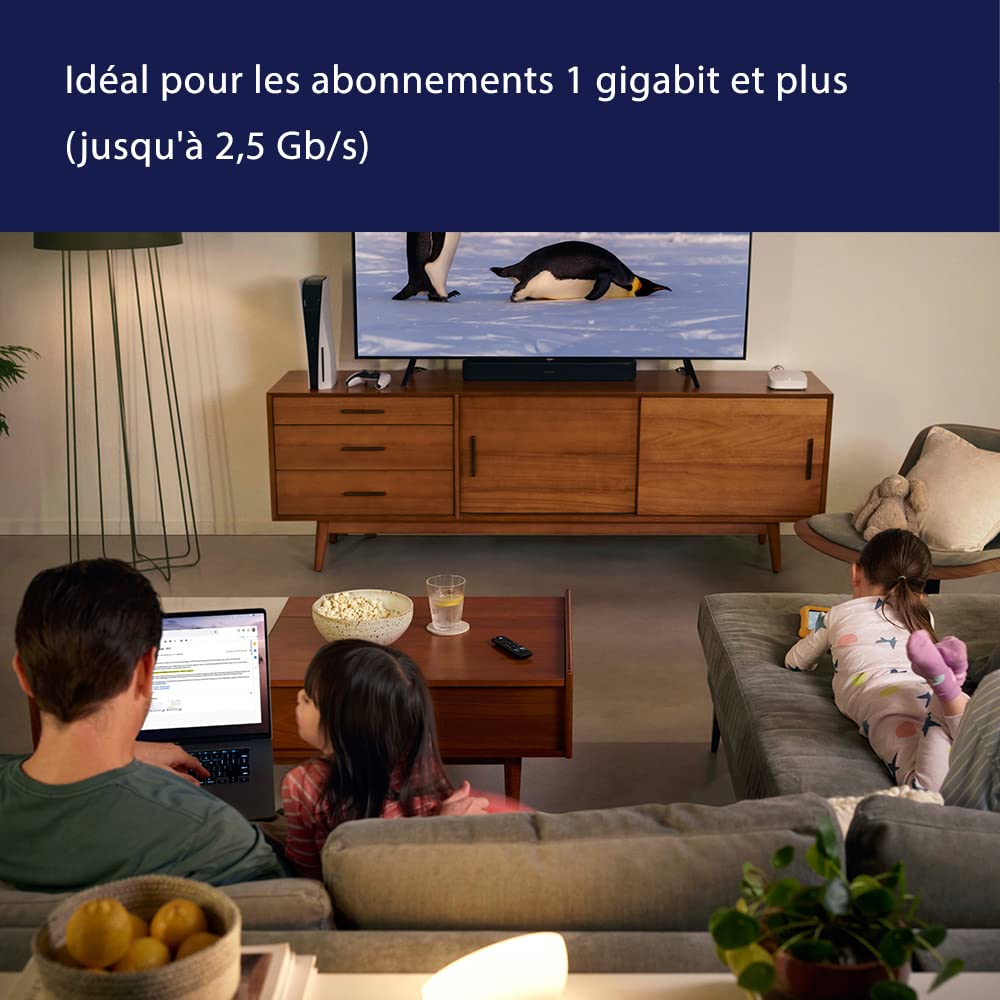 Routeur Wi-Fi maillé Amazon eero Pro 6E