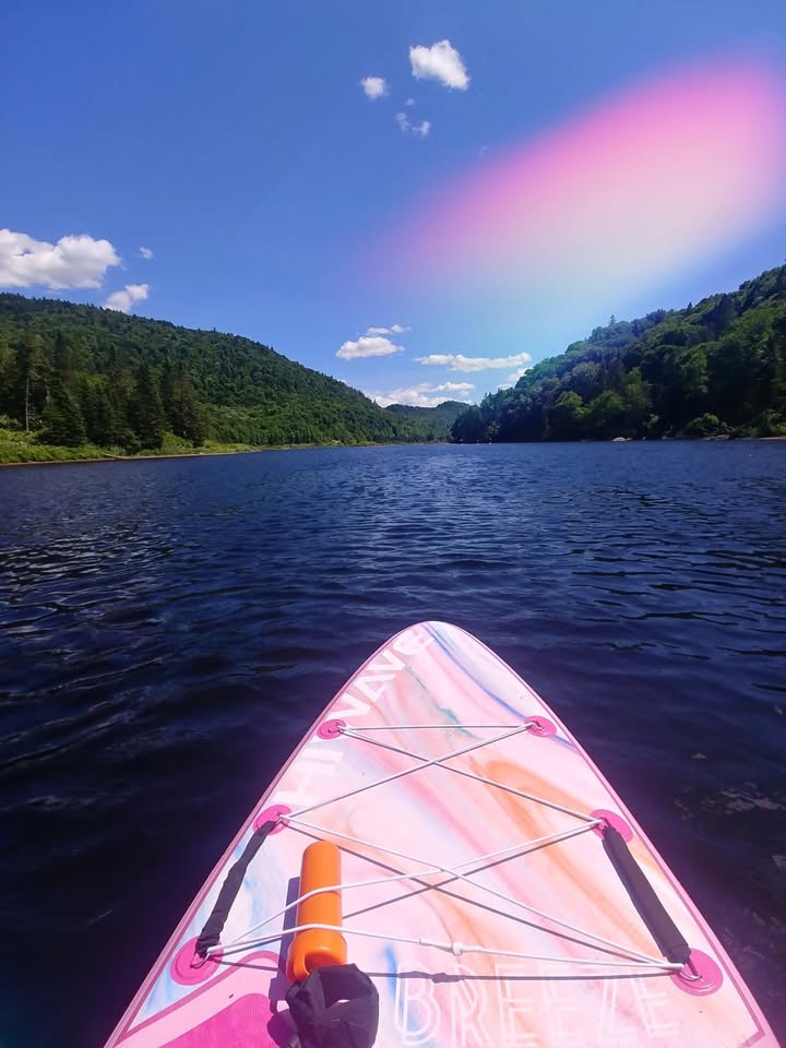 Pink Paddle Board Rental  ๐