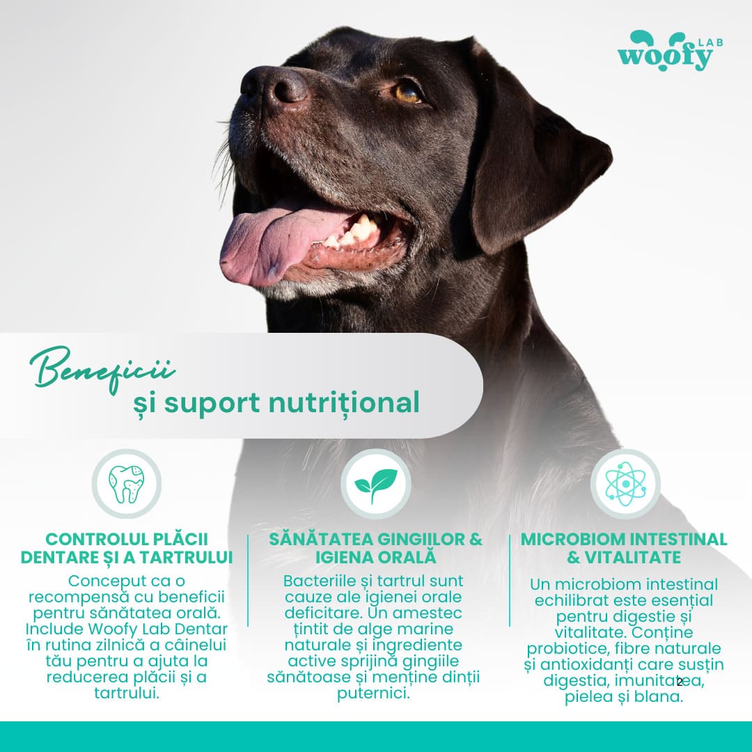 STICKS-URI DENTARE & PROBIOTICE