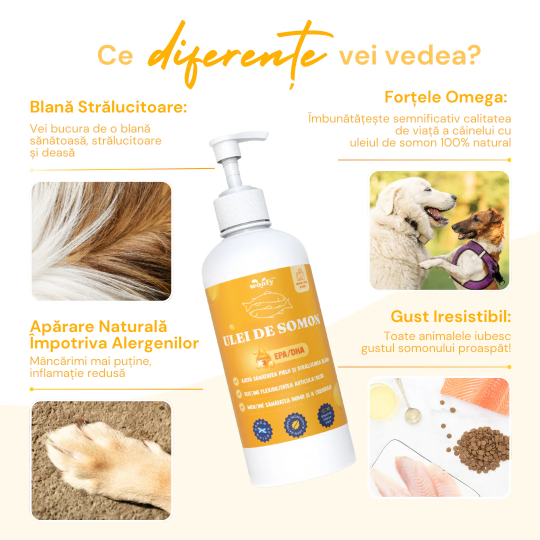 Ulei De Somon - Suport Natural pentru Câini și Pisici