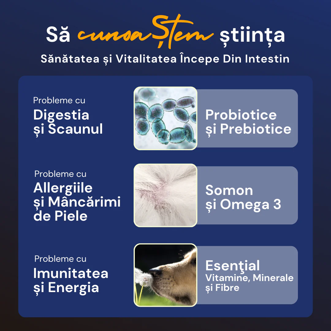 SNACKURI PROBIOTICE - Supliment digestiv premium pentru câini