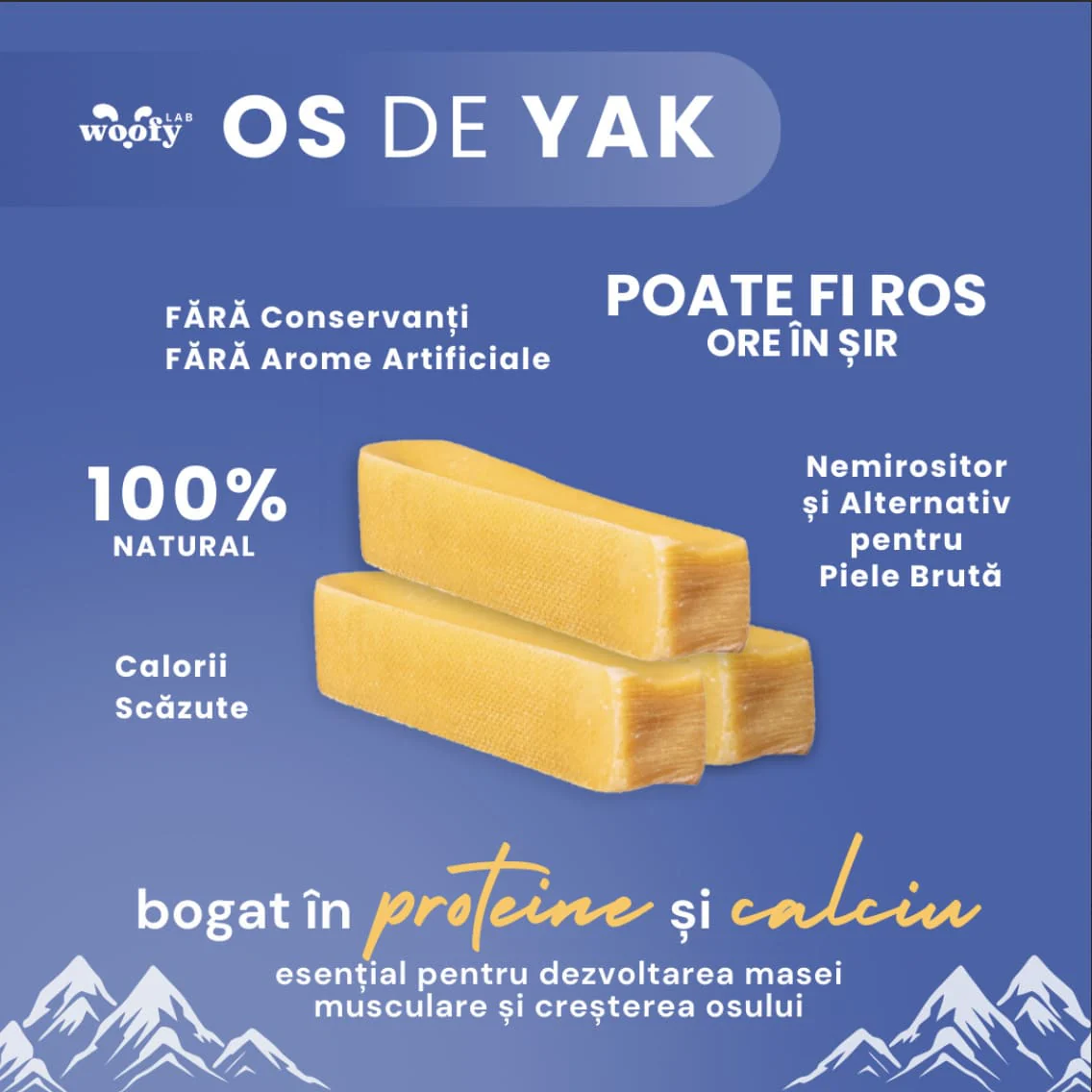 Os de Yak - Masticație și relaxare