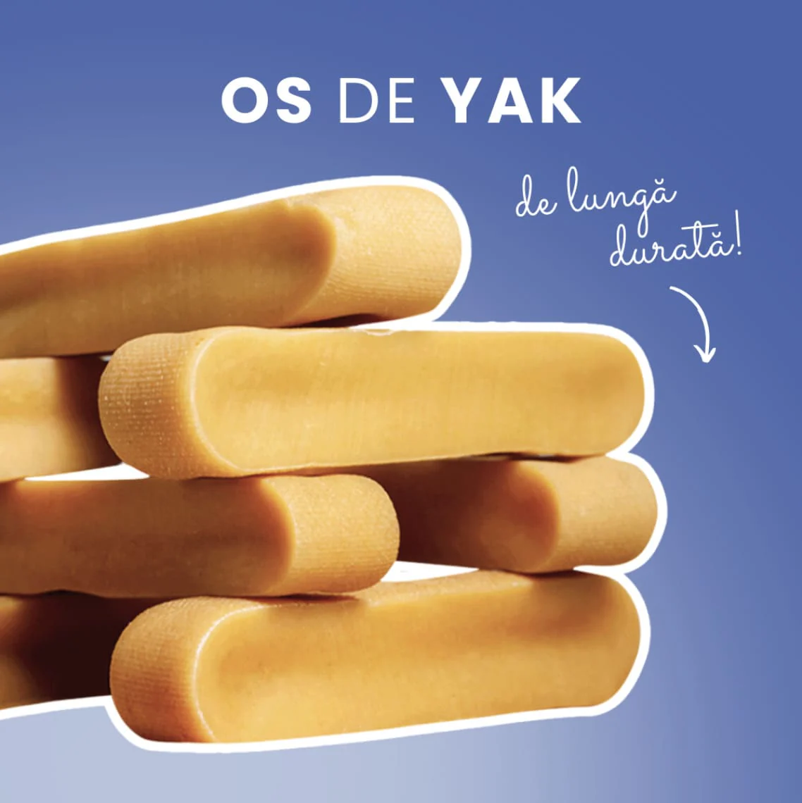 Os de Yak - Masticație și relaxare