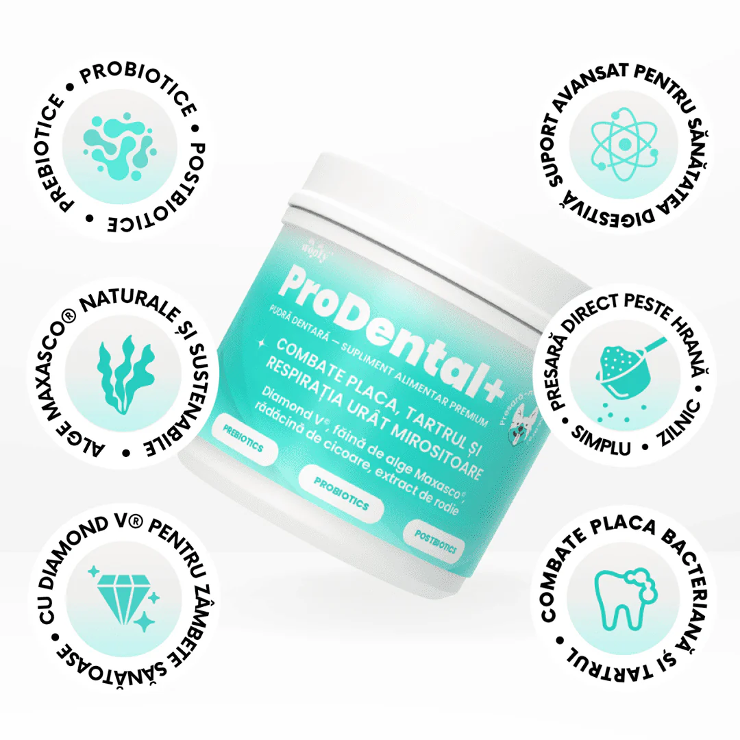 ProDental+ - Pentru dinți curați și o respirație proaspătă