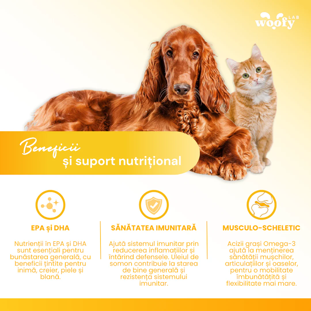 Ulei De Somon - Suport Natural pentru Câini și Pisici