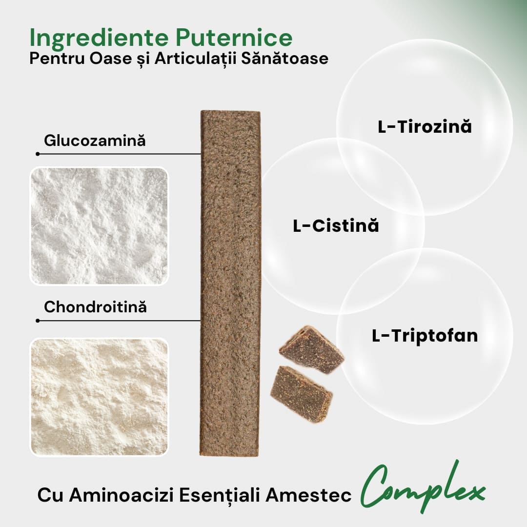 SNACKURI ARTICULAȚII - Protecție premium pentru câini