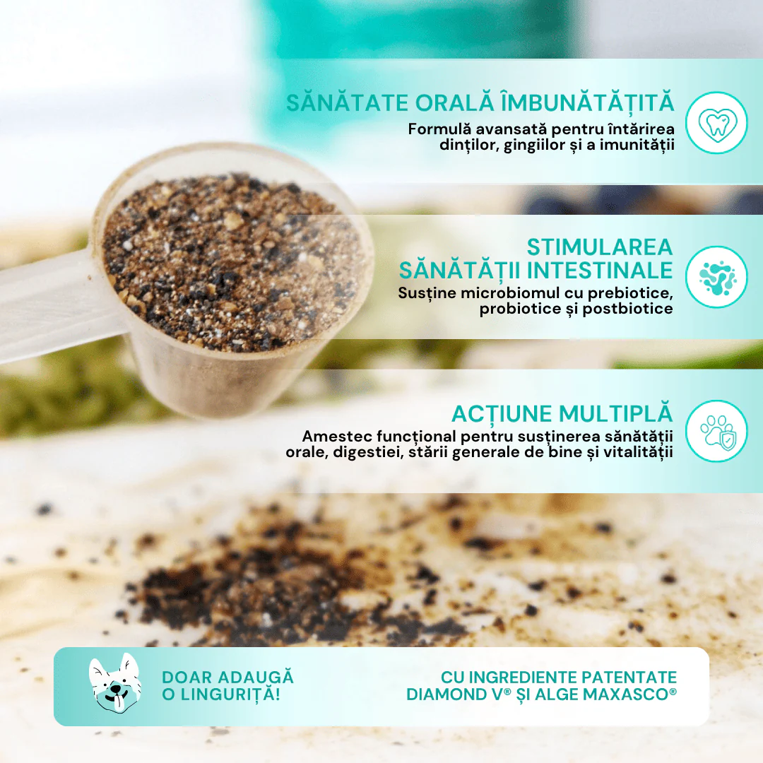 ProDental+ - Pentru dinți curați și o respirație proaspătă