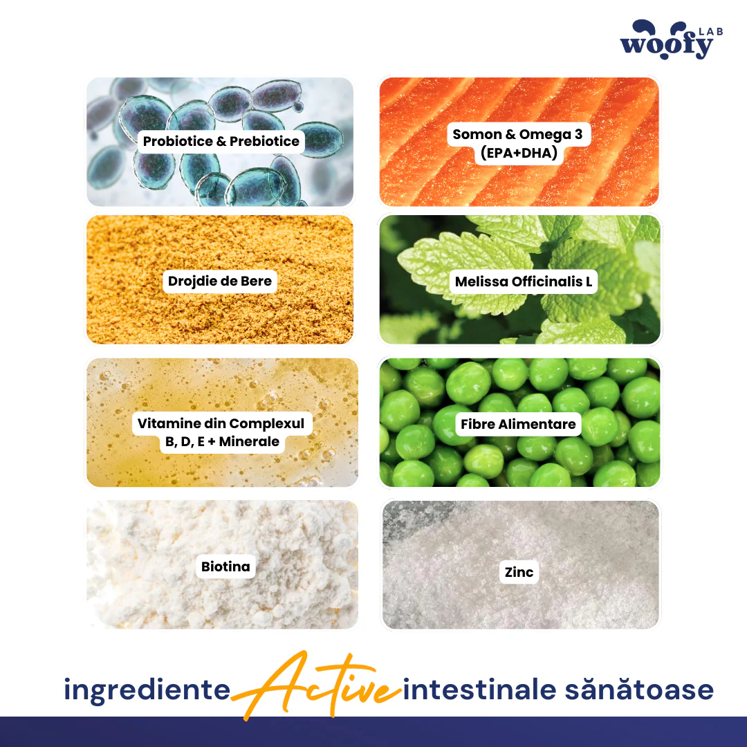 SNACKURI PROBIOTICE - Supliment digestiv premium pentru câini