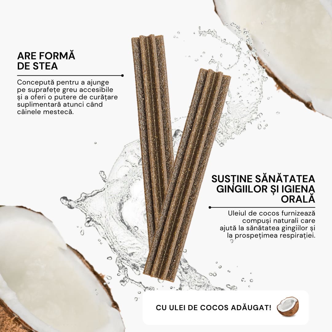 STICKS-URI DENTARE & PROBIOTICE