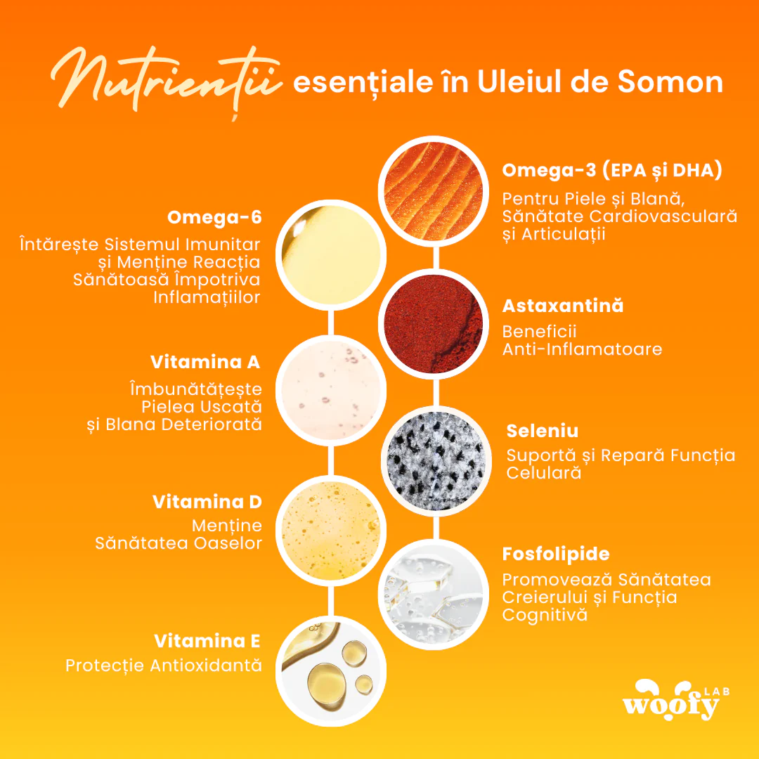 Ulei De Somon - Suport Natural pentru Câini și Pisici
