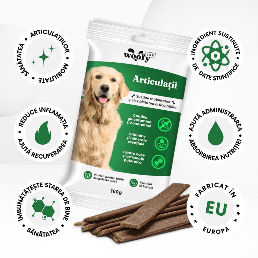 SNACKURI ARTICULAȚII - Protecție premium pentru câini