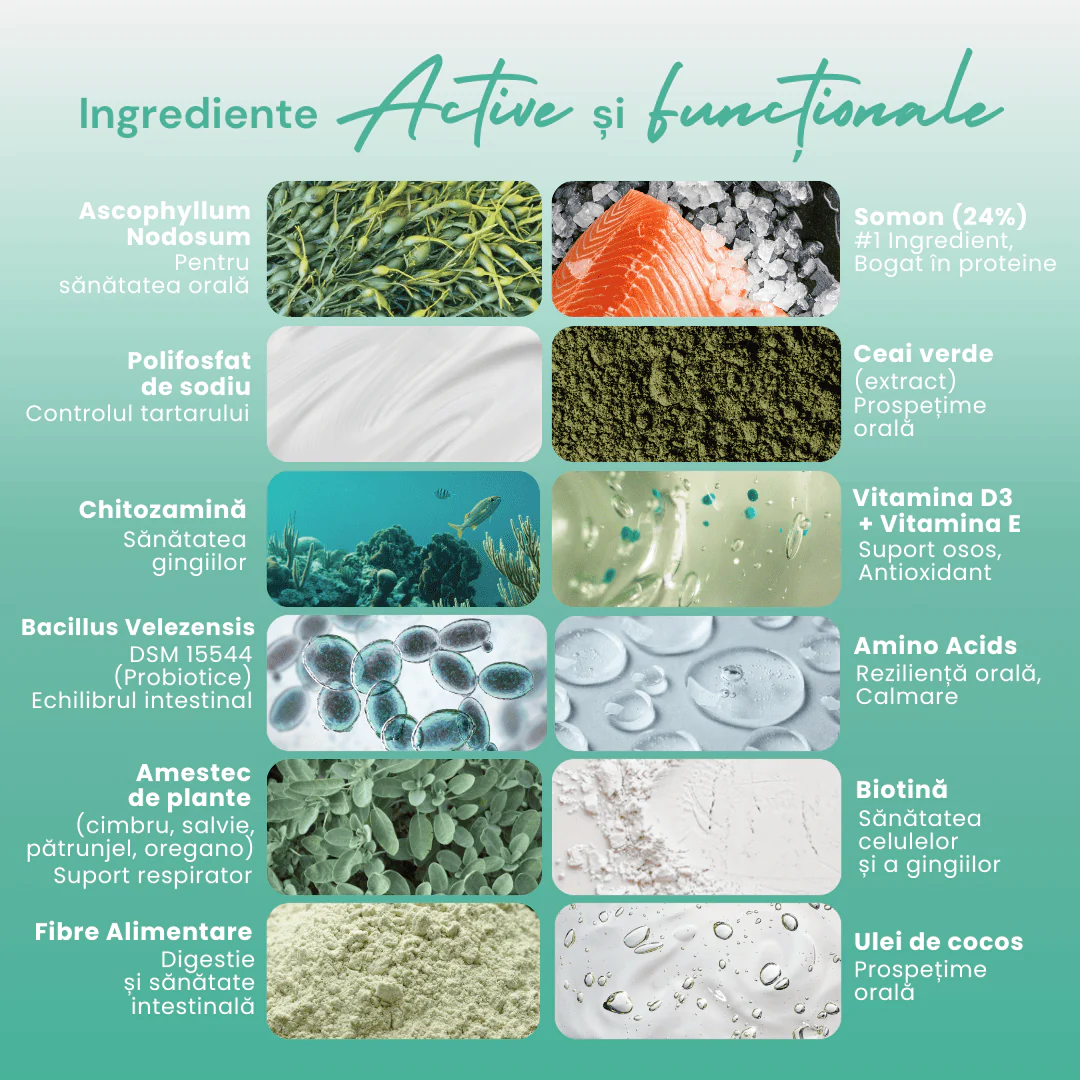 STICKS-URI DENTARE & PROBIOTICE