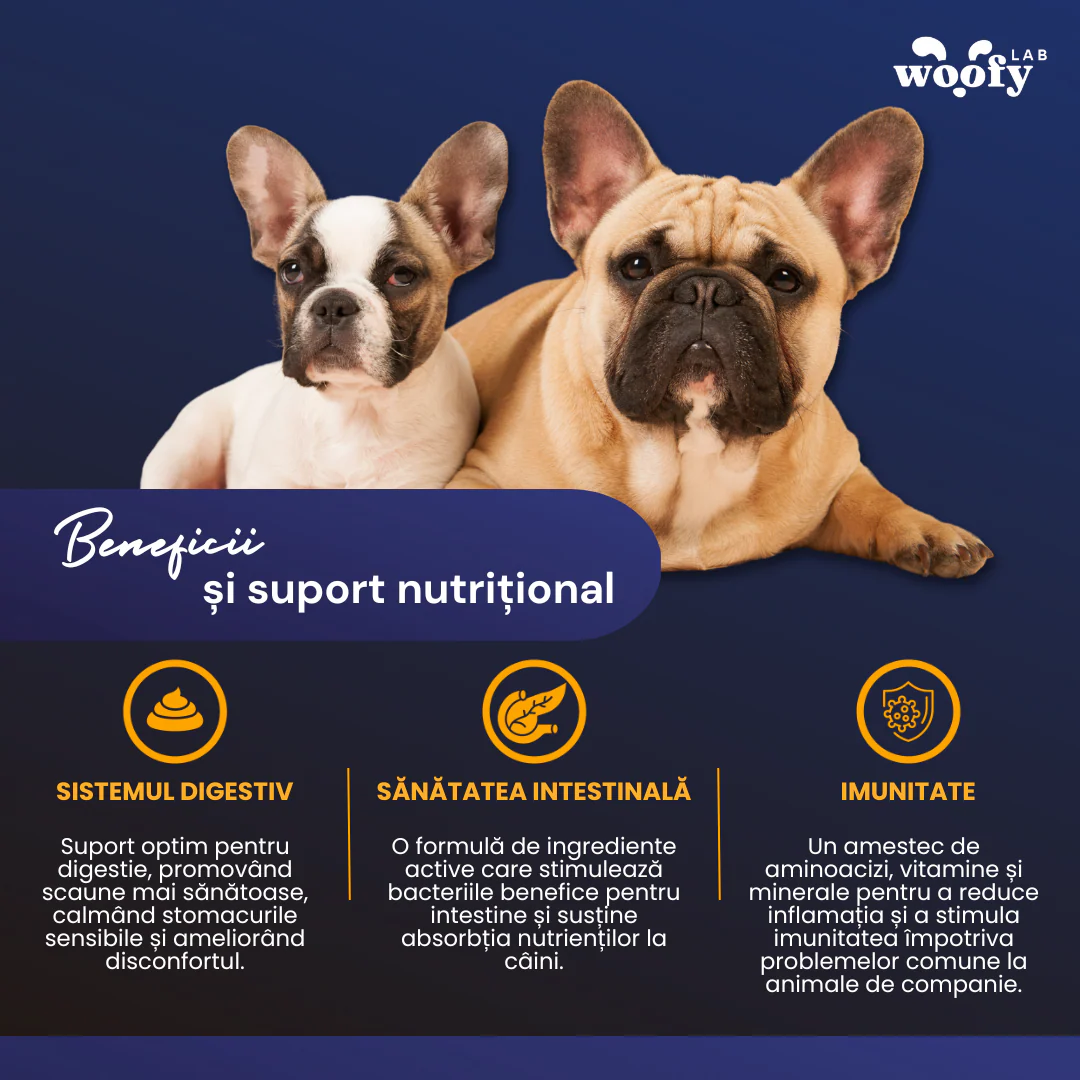 SNACKURI PROBIOTICE - Supliment digestiv premium pentru câini