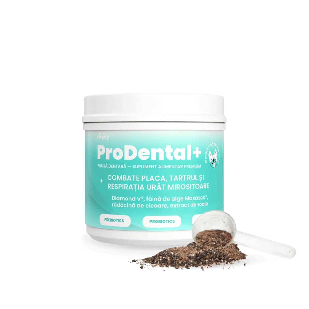 ProDental+ - Pentru dinți curați și o respirație proaspătă