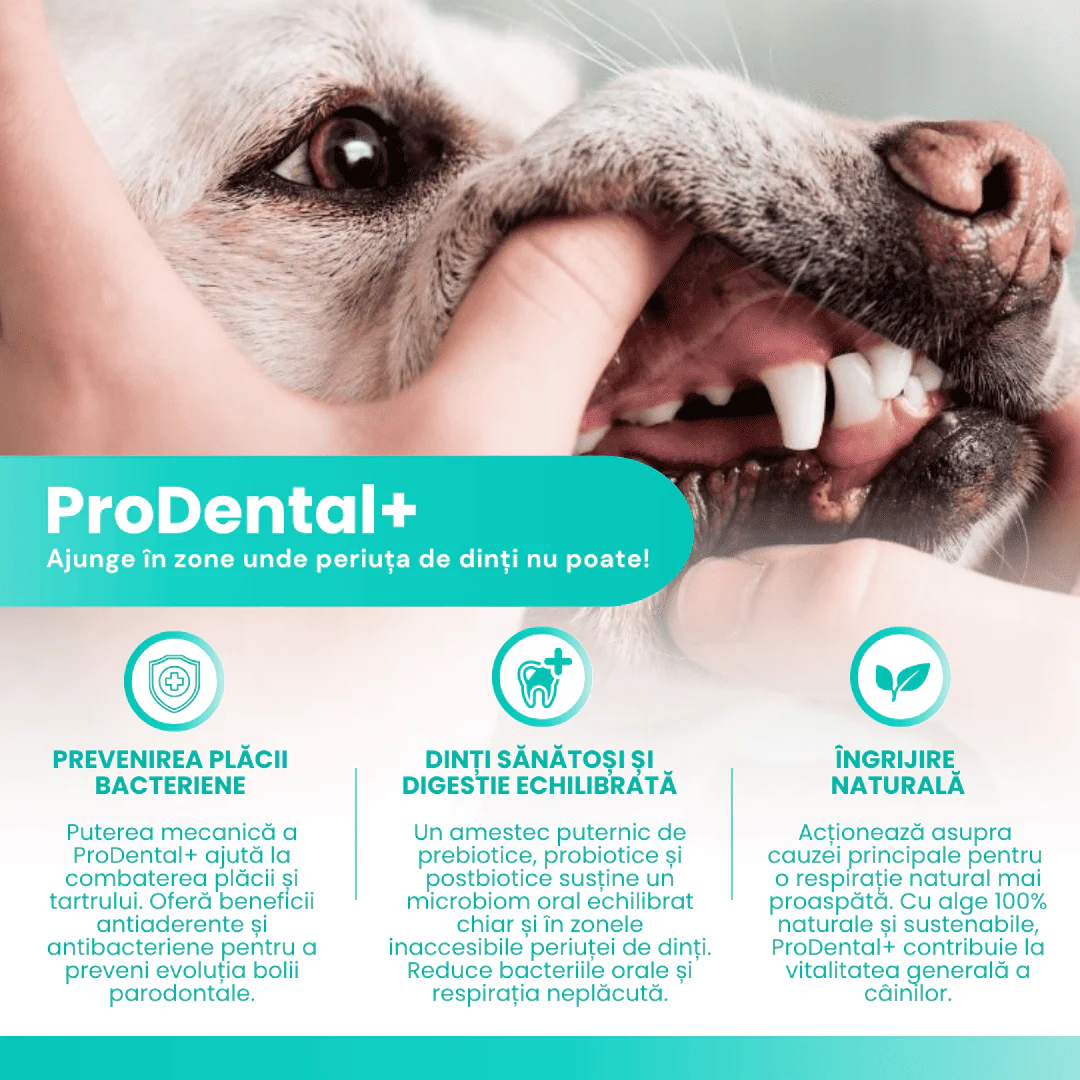 ProDental+ - Pentru dinți curați și o respirație proaspătă