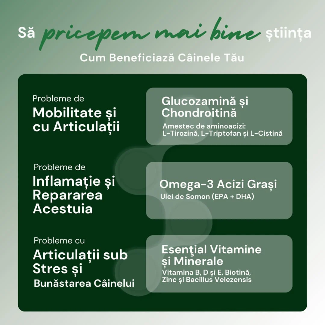 SNACKURI ARTICULAȚII - Protecție premium pentru câini