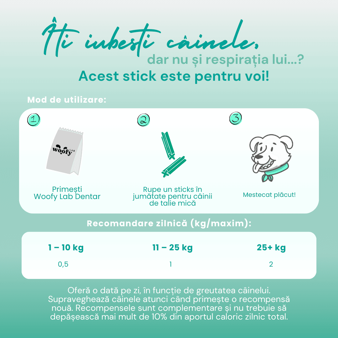 STICKS-URI DENTARE & PROBIOTICE