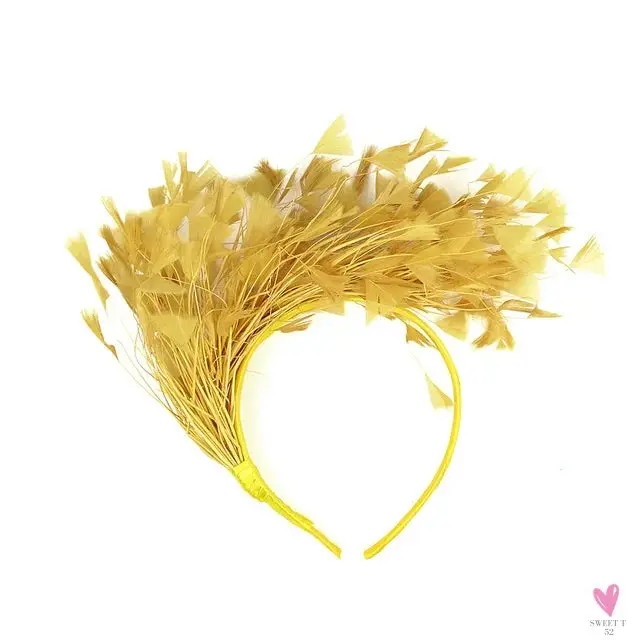 Colorful Feather Hair Hoop, Masquerade Vintage Headband, Party/Dancing/Photograph Hair Accessories