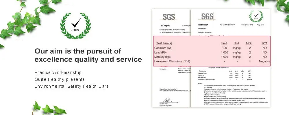 Cute Hoop Earrings in Stainless Steel and Crystal, Ear Cuffs, Brincos Huggie Jewelry for Men and Women