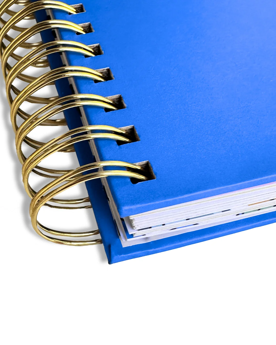 2025 BD Blue Planner