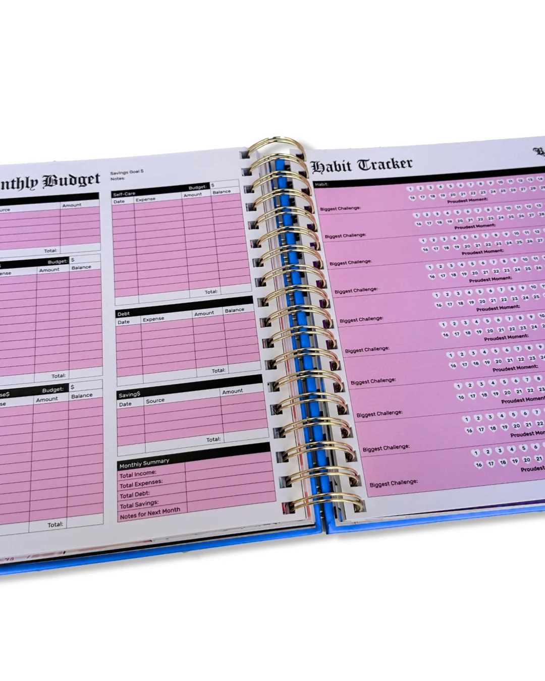 2025 BD Blue Planner