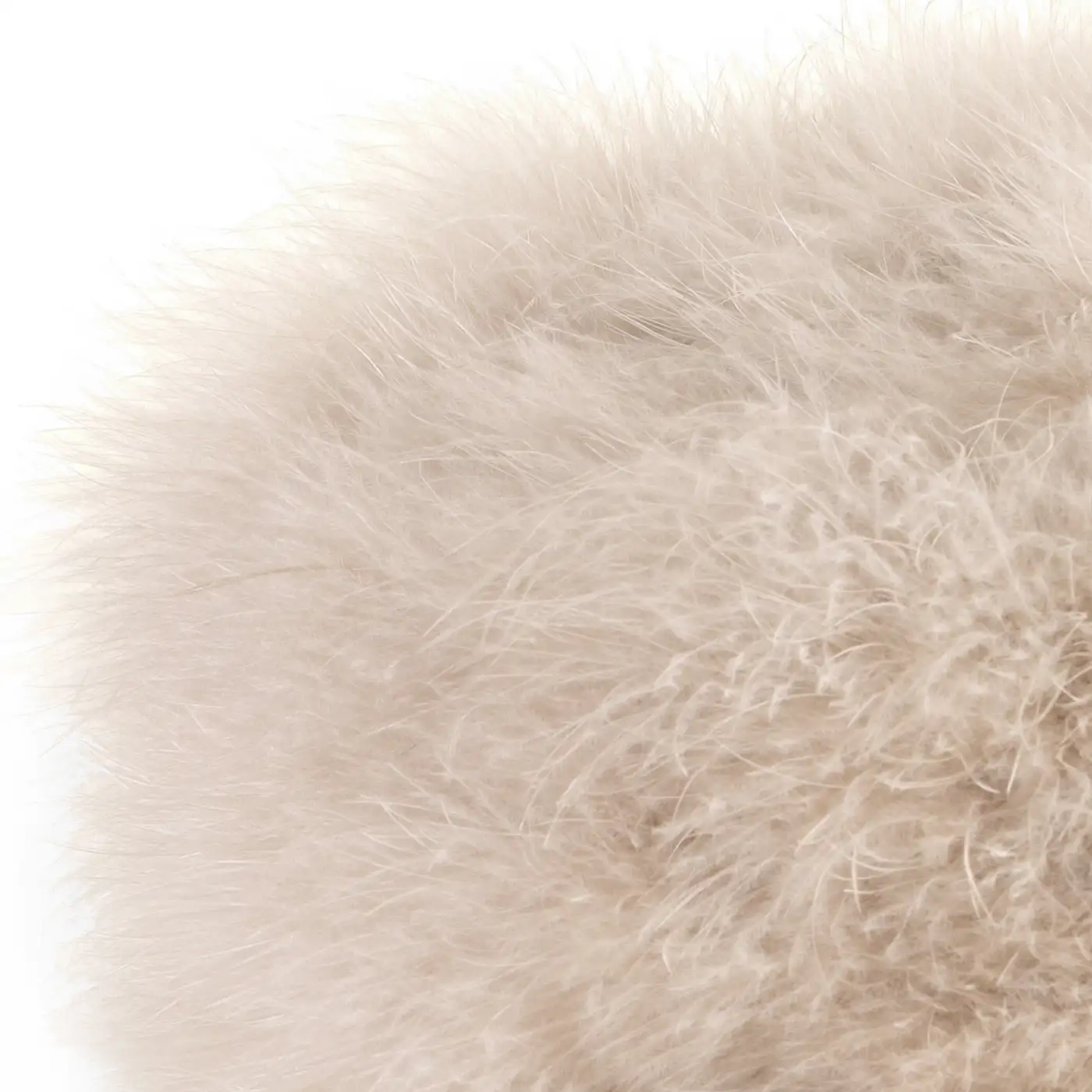 Colbacco in Piumaggio Naturale di Gallopavo Meleagris