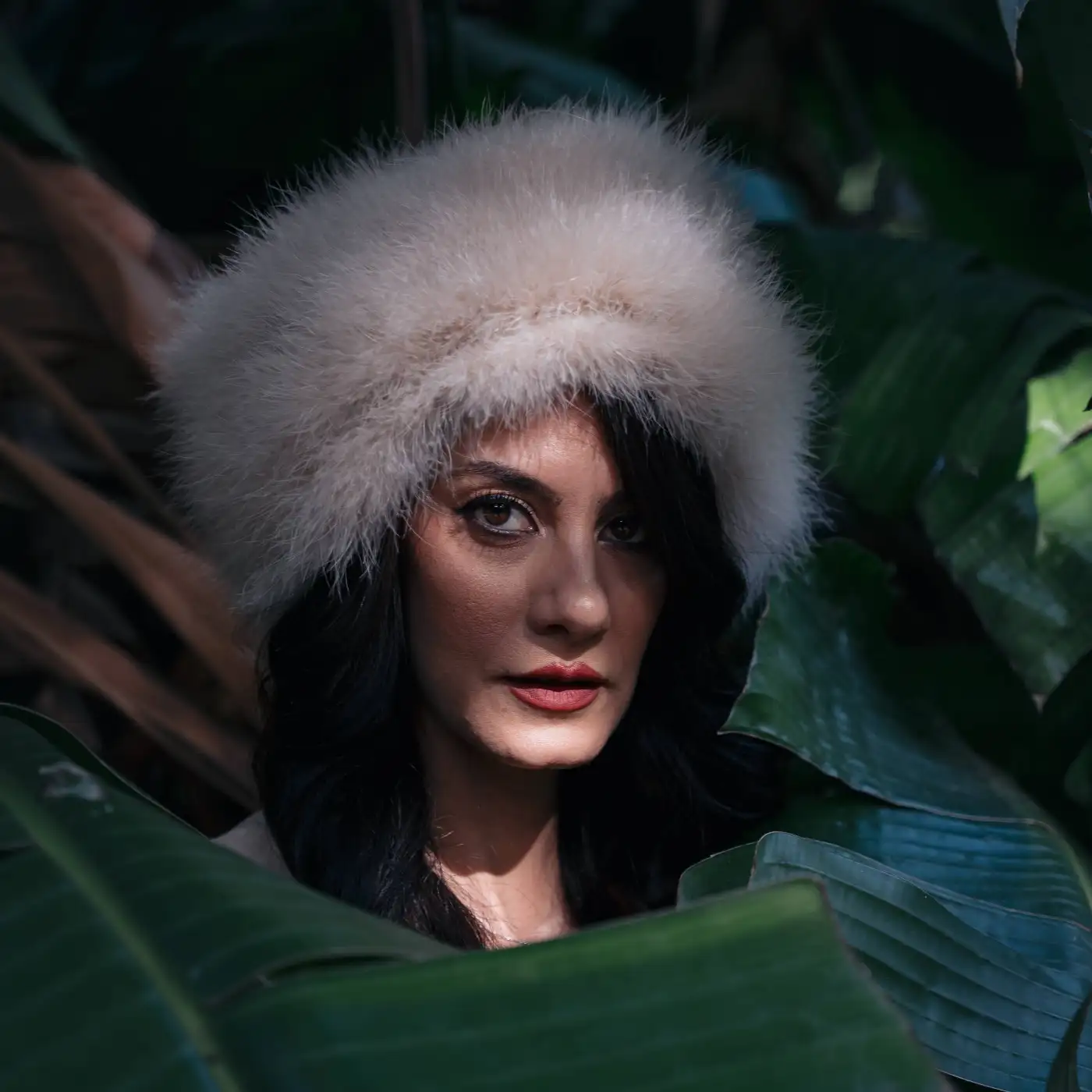 Colbacco in Piumaggio Naturale di Gallopavo Meleagris