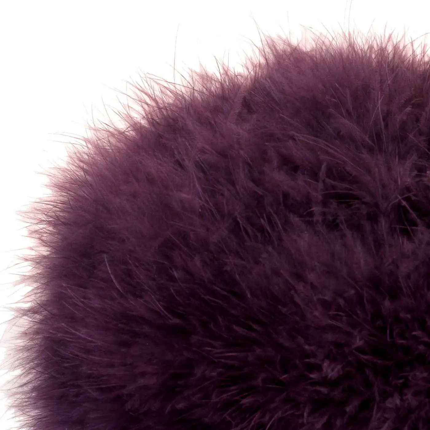 Colbacco in Piumaggio Naturale di Gallopavo Meleagris