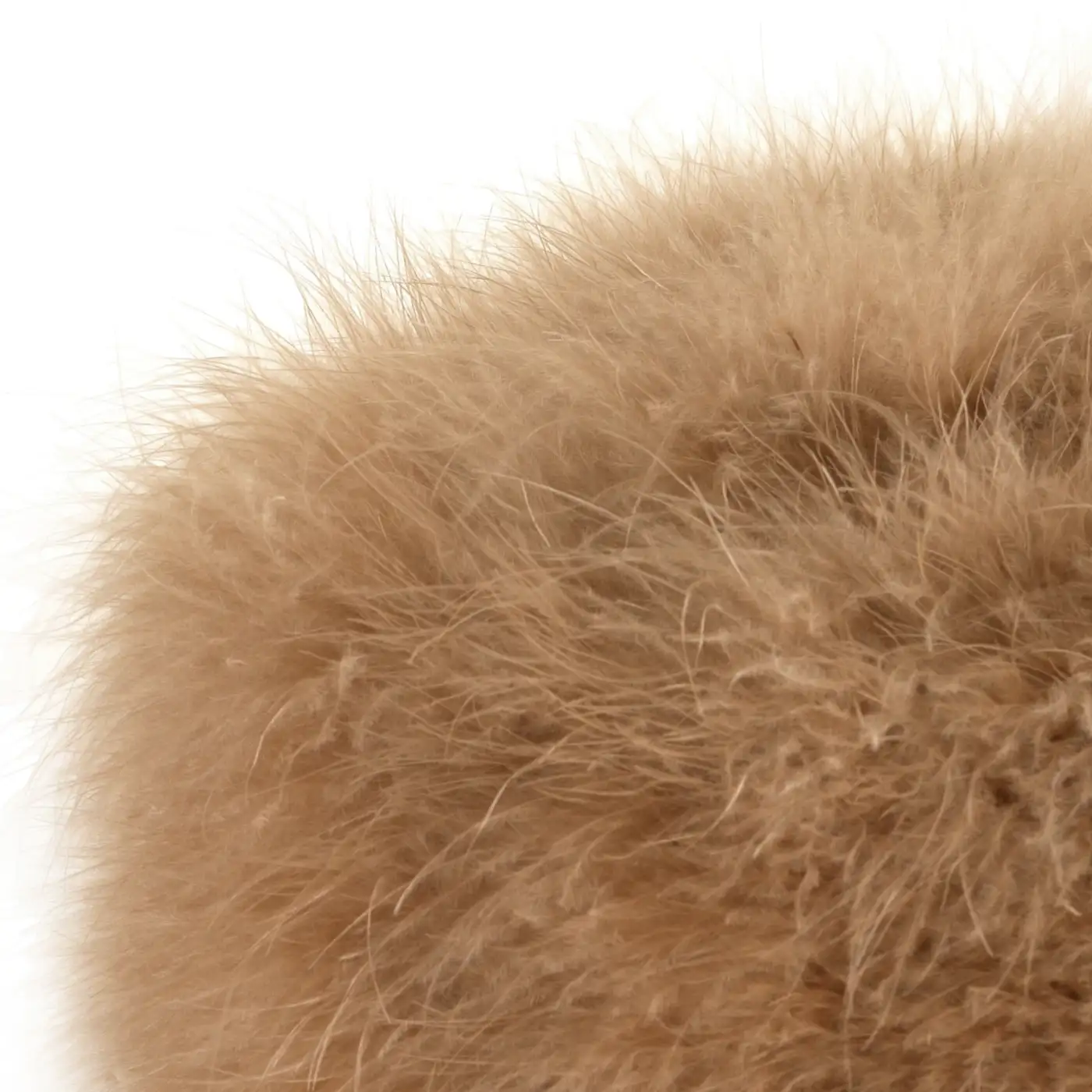 Colbacco in Piumaggio Naturale di Gallopavo Meleagris