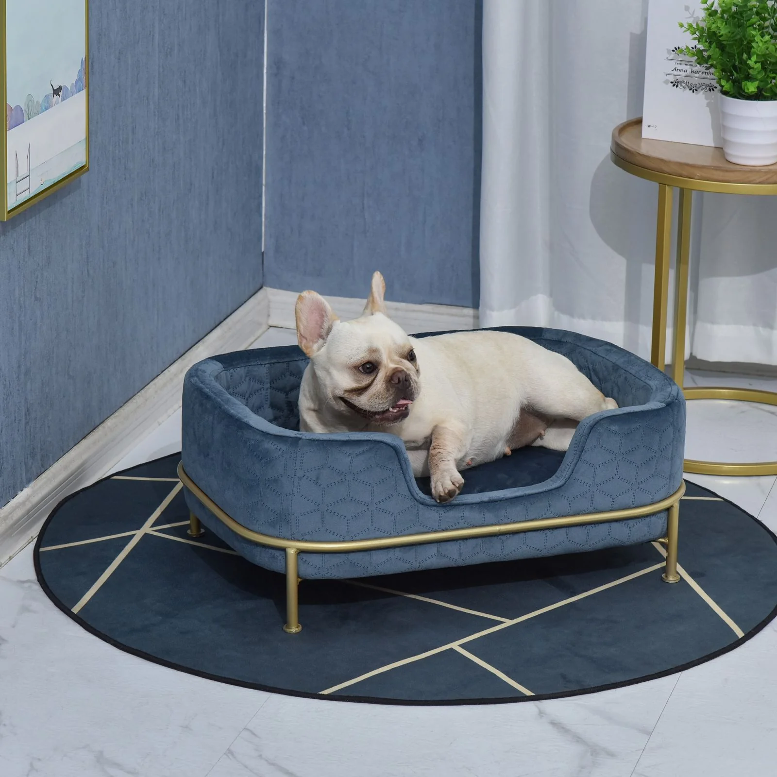 EASYCOMFORT Divano per Cani di Piccola Taglia o Gatti in Velluto Blu e Metallo Oro 63.5x43x24.5cm