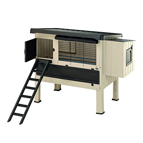 Ferplast Pollaio esterno HAPPY FARM 120 Casetta per galline ovaiole, Resina termoplastica e legno, per circa 6 galline, Nido, Tendina protettiva e Accessori inclusi, 140 x 139 x h 110 cm, Beige : Amazon.it: Commercio, Industria e Scienza