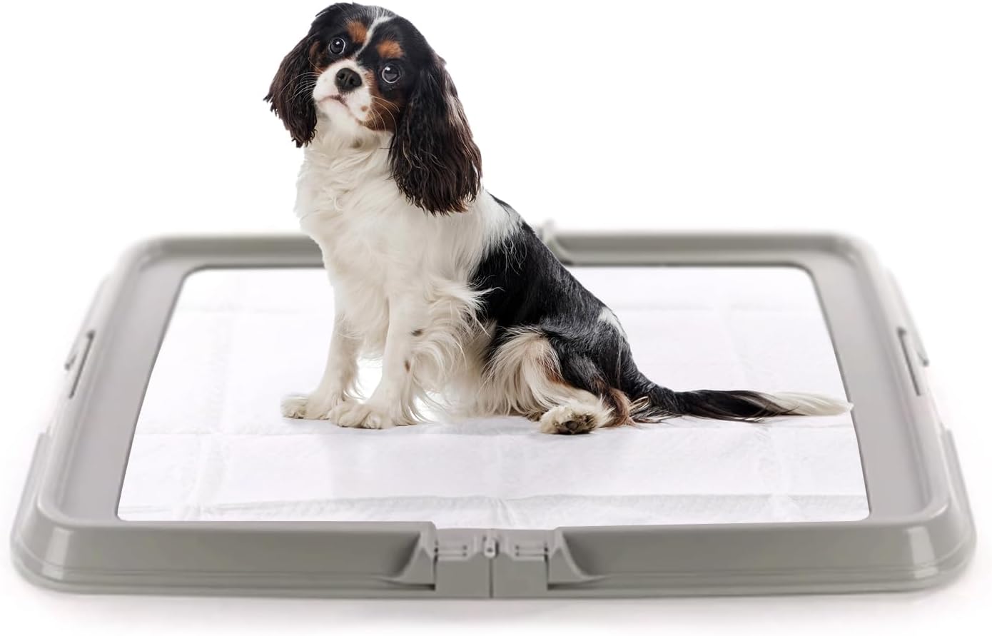 AqpetFriends BauBox - Lettiera per Cani, Toilette Pieghevole 86x62 cm | Vassoio Porta Tappetini Assorbenti, Ideale per Addestramento Cuccioli e Uso in Casa