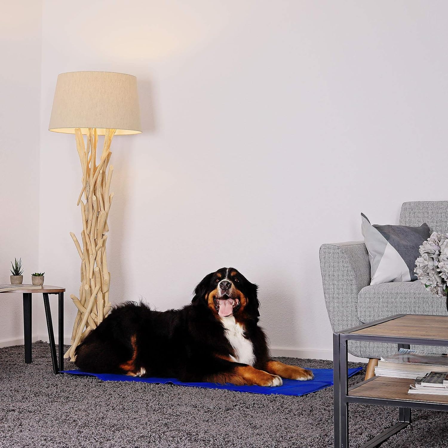 lionto Tappetino refrigerante per Animali Domestici Tappetino rinfrescante per Cani, (XL) 120x80 cm Blu