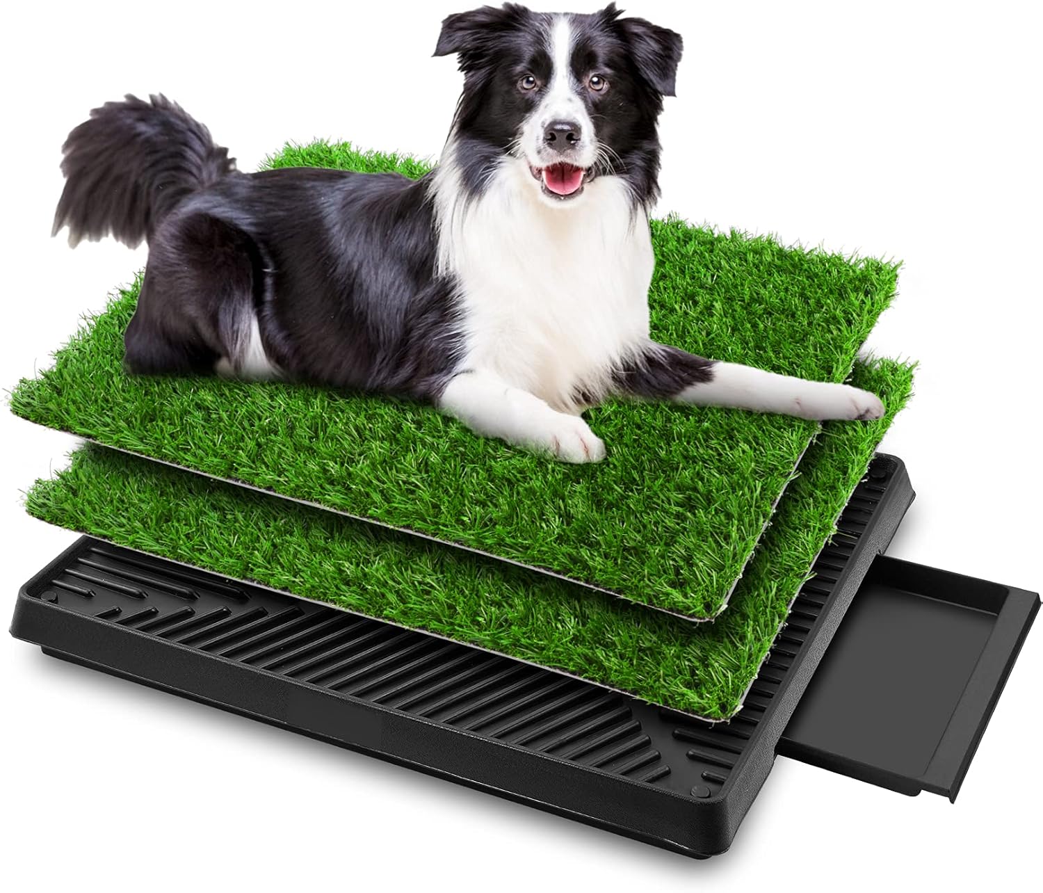 Sailnovo WC per cani 63 x 50 cm, WC per cuccioli rinforzato con prato con 2 pezzi di erba artificiale, WC per cani, WC per cuccioli