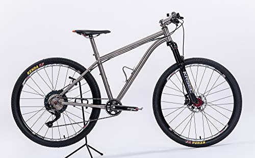 ATCN Titanium Bike per adulti e ragazzi : Sport e tempo libero