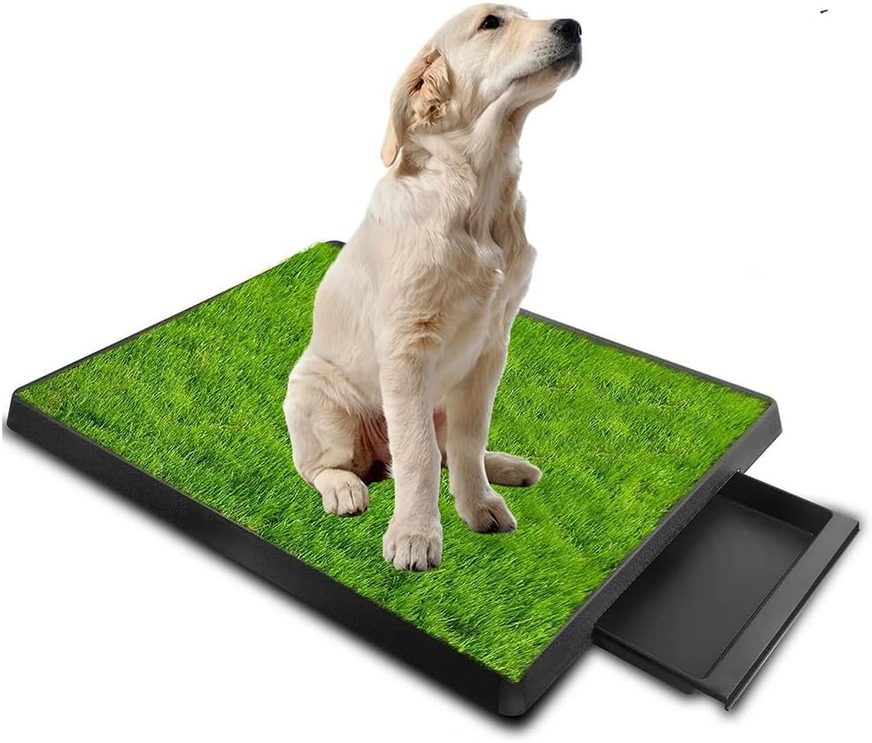 Lettiera Per Cani Da Interno,Tappeto Da Addestramento Con Divisorio Per l'urina,Tappeto Per Cani Con Vassoio Grande(64x51cm),Facile Da Pulire,Con Vassoio Estraibile,Ideale Per l'Addestramento Dei Cani
