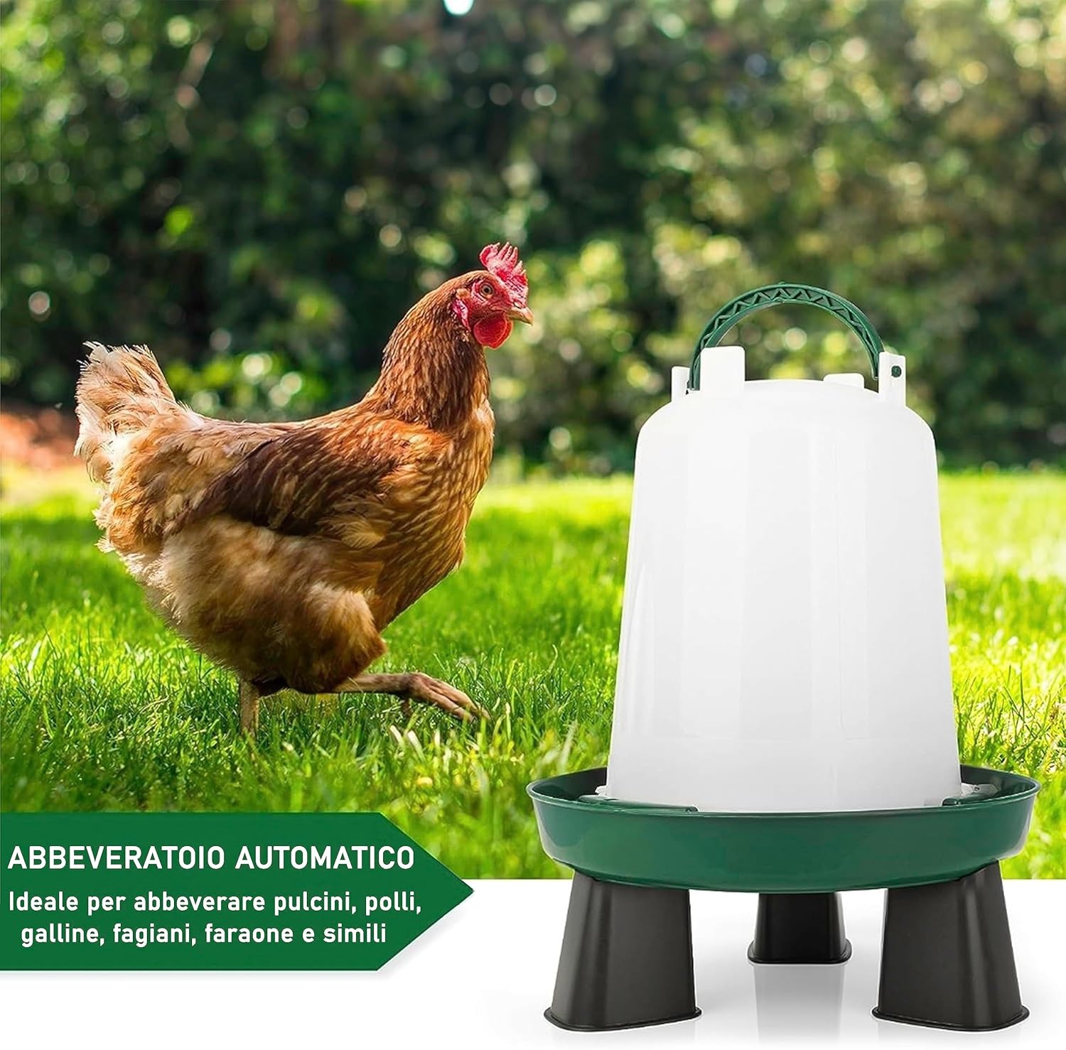 Mangiatoia per Galline 2 Kg e Abbeveratoio per Galline 3L - in Plastica Trasparente Resistente – Piedini rimovibili
