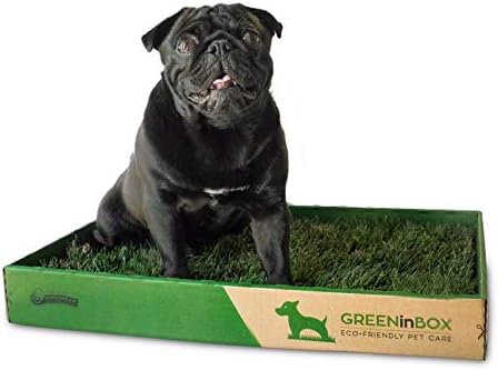 GreenInBox - Lettiera in Vera Erba