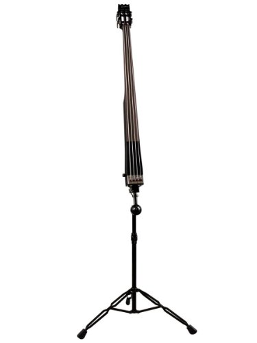 Dean Guitars PACEB CBK   Basso a 4 corde, colore nero : Strumenti Musicali