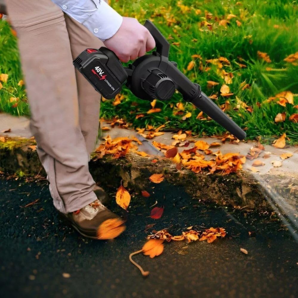 Cecaro Group 48V Dual Battery Blower - Power and Autonomy for Your Garden