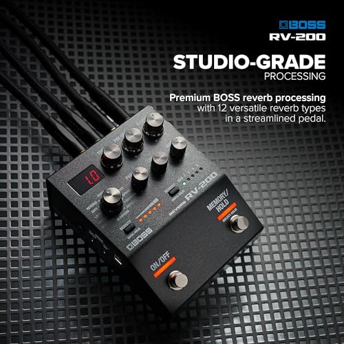 Riverbero BOSS RV 200 | Effetti di Riverbero di Qualità Superiore, nel Design Essenziale dei Pedali Effetto BOSS Serie 200 per Chitarra e Altri Strumenti | 12 Tipi di Riverbero, incluso l'Arpverb : Amazon.it: Strumenti Musicali