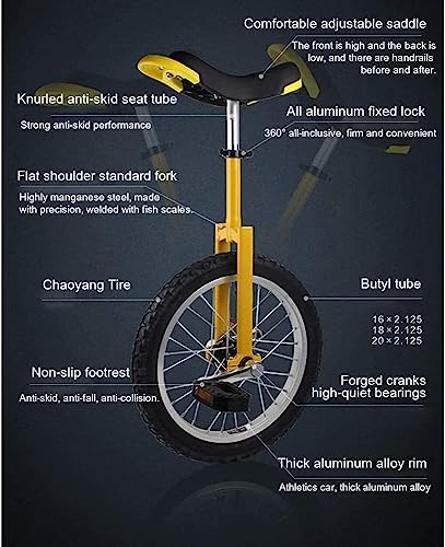 ELzEy Monociclo Bicicletta Pollici Regolabile
