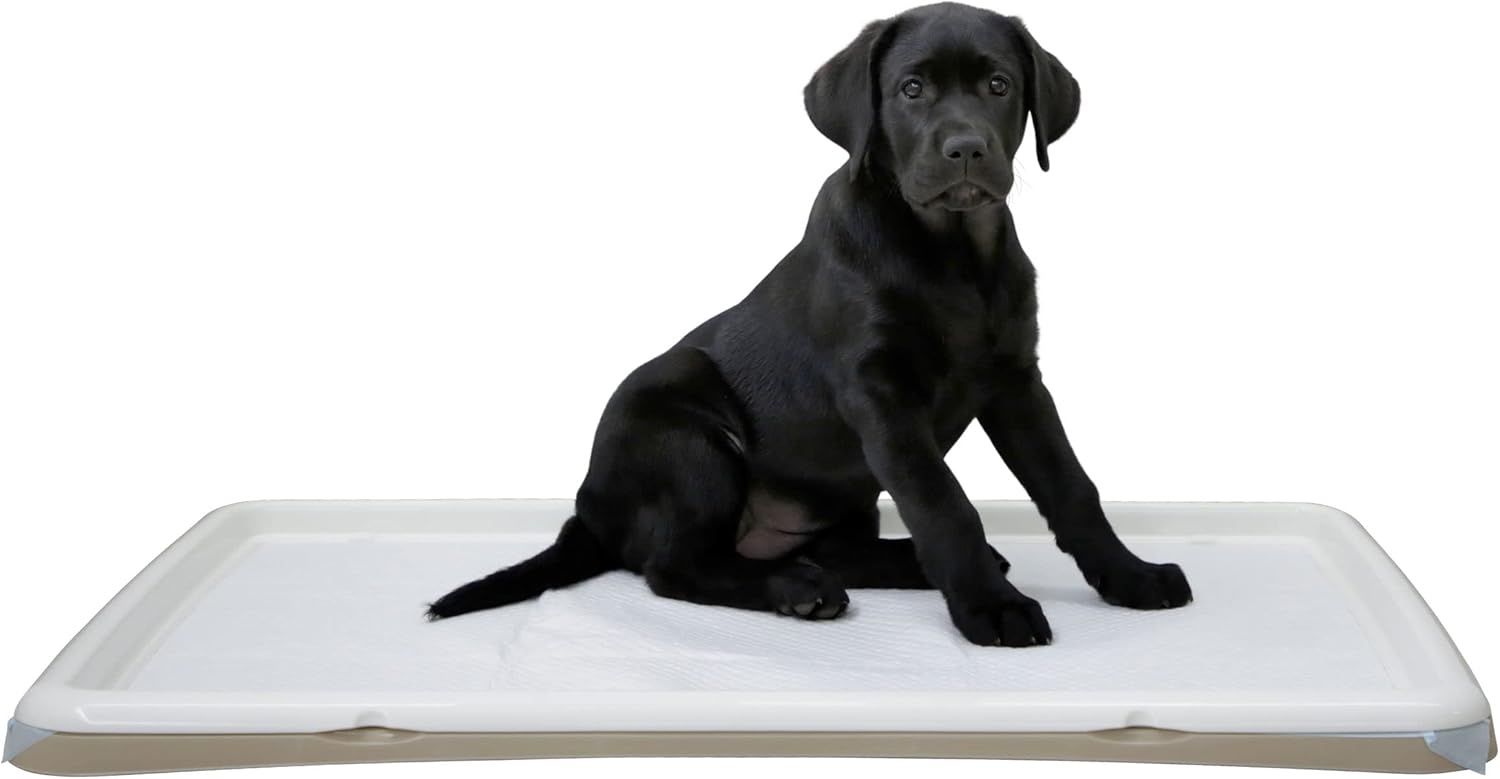 Kerbl Pet Toilette per Cucciolo XL, 60 x 90 cm