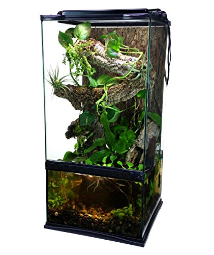 Zoo Med Paludarium   Paludario in vetro e metallo per la creazione di ambienti naturali per animali esotici, anfibi, rettili, dimensione 30x30x60 cm : Amazon.it: Prodotti per animali domestici