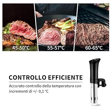 Sous Vide Roner Cucina Professionale Slow Cooker Circolatore Termico, Termocircolatore a Immersione Inox per Cottura a Bassa Temperatura, con Ricettario e Custodia Protettiva